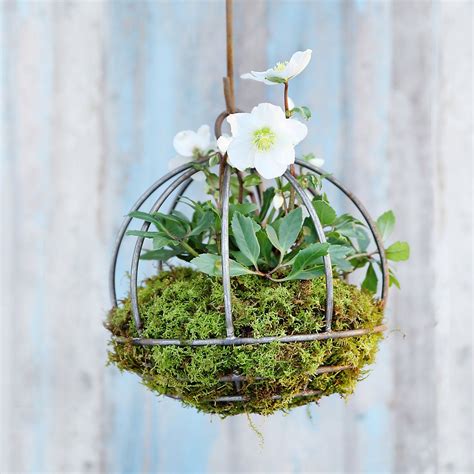 Sphere Hanging Basket